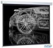 Экран Cactus 213x213см Wallscreen Cs-psw-213x213 1:1 настенно-потолочный рулонный белый