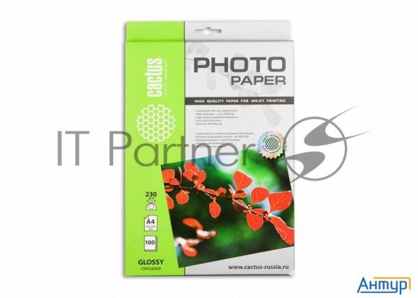 Фотобумага Cactus Cs-ga4230100 глянцевая А4 230 г/м2 100 листов