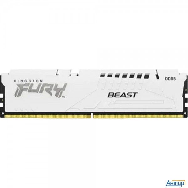 Память Ddr5 16gb 5600mhz Kingston Kf556c36bwe-16 Fury Beast Expo Rtl Gaming Pc5-44800 Cl36 Dimm 288-