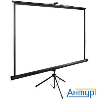 Экран Cactus Triexpert Cs-pste-200x200-bk 200x200 см 1:1 напольный рулонный