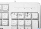 Клавиатура Acer Okw301 белый Usb (zl.kbdcc.01b)