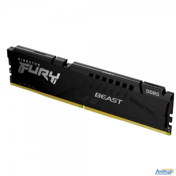 Kingston Fury Beast 16gb Ddr-5 (kf560c30bb-16)
