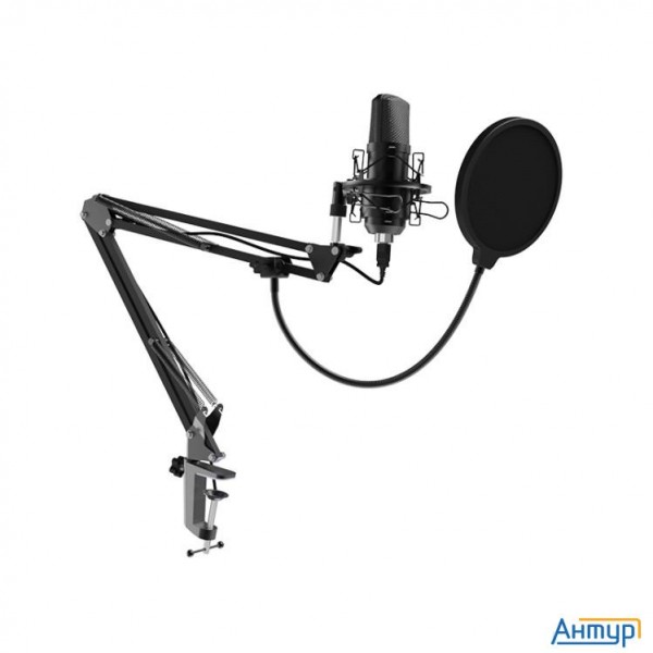 Ritmix Rdm-169 Black {увствительность: - 42 ± 2 дБ?,  ?1000 ?}