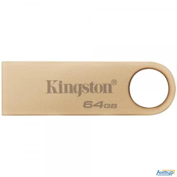 Kingston Usb Drive 64gb Datatraveler Se9 Dtse9g3/64gb Usb3.0 серебристый