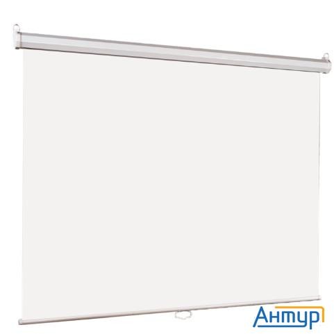 Lumien Eco Picture [lep-100106] Настенный экран  127х127см (рабочая область 121х121 см) Matte White