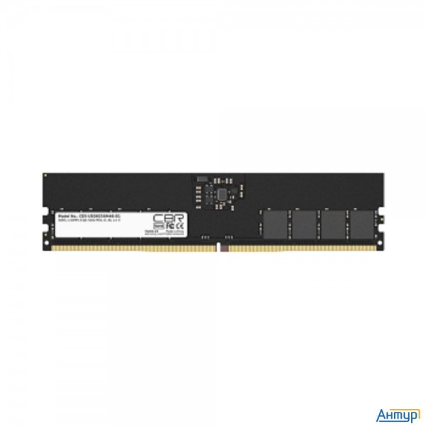 Cbr Ddr5 Dimm (udimm) 8gb Cd5-us08g56m46-01 Pc5-44800, 5600mhz, Cl46, 1.1v