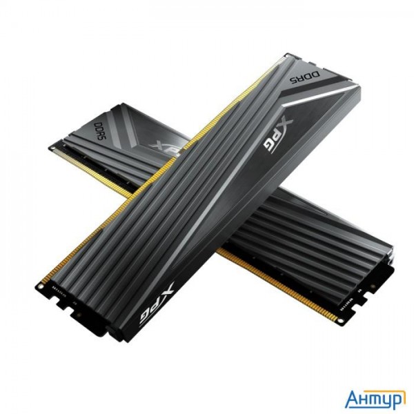 A-data Ddr5 Dimm 32gb Ddr5-6000 Ax5u6000c3016g-dccagy
