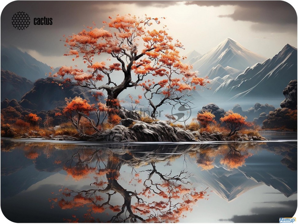 Коврик для мыши Cactus Lake 400x300x3мм (cs-mp-pro18xl)