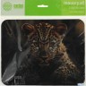 Коврик для мыши Cactus Leopard 250x200x3мм (cs-mp-d06s)