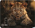 Коврик для мыши Cactus Leopard 250x200x3мм (cs-mp-d06s)