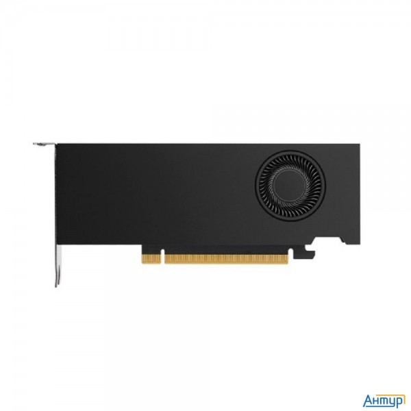 Nvidia Rtx A2000 12gb Atx Oem (900-5g192-2551-000/900-5g192-2250-000)atx+ Lp Bracket