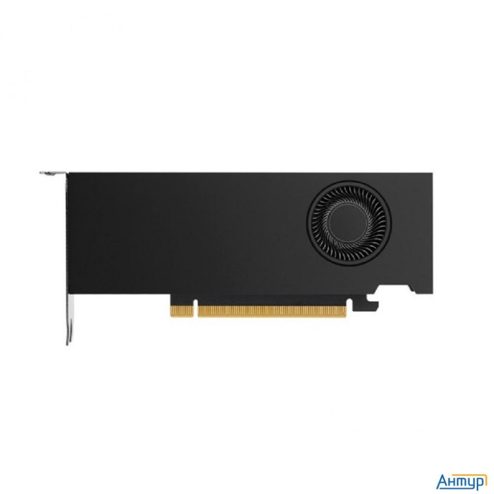 Nvidia Rtx A2000 12gb Atx Oem (900-5g192-2551-000/900-5g192-2250-000)atx+ Lp Bracket