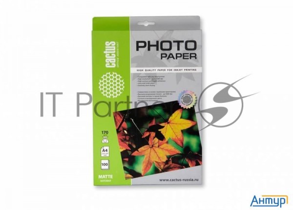 Фотобумага Cactus Cs-ma4170100 матовая A4 170 г/м2 100 листов