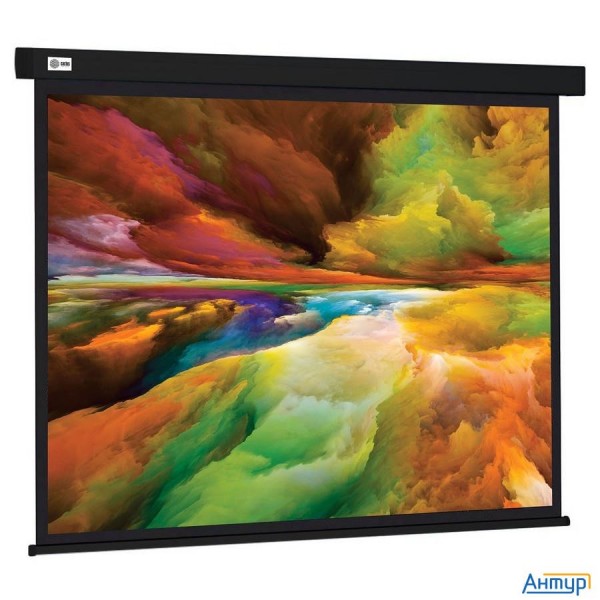 Экран Cactus Wallscreen Cs-psw-206x274-bk,  274х206 см, 4:3,  настенно-потолочный черный