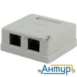 Монтажное оборудование 5bites Розетка Ly-sb09 внешняя Rj-45+rj-11 5e кат.