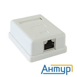 Gembird Nas212 Rj-45 кат.stp 5e внешняя экранированная 1 порт, 110&krone