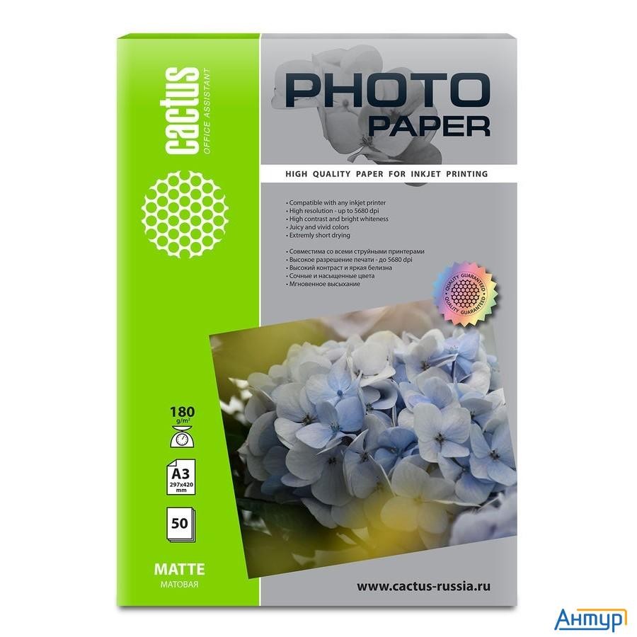 Фотобумага Cactus Cs-ma318050 A3/180г/м2/50л./белый матовое для струйной печати