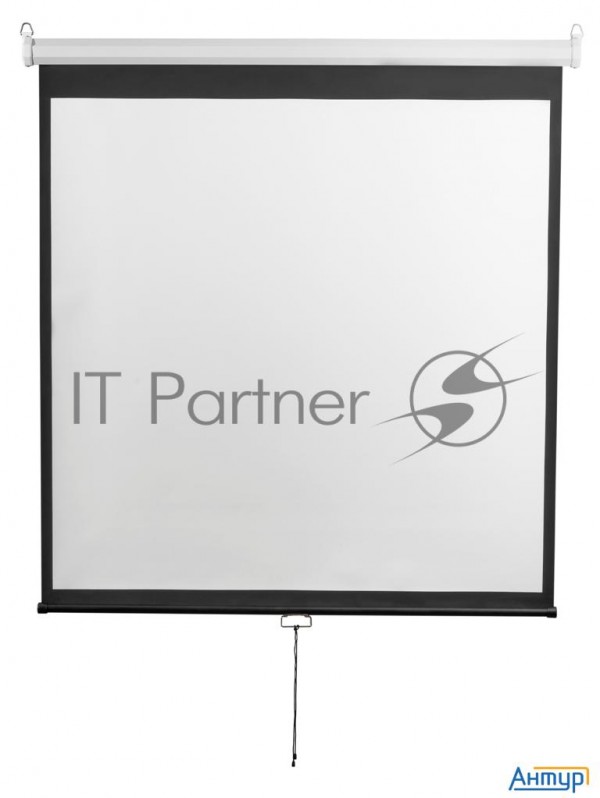 Экран 200x200см Digis Optimal-d Dsod-1105 1:1 настенно-потолочный рулонный