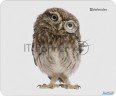 Коврик для мыши Defender Wild Animals и, 220x180x2 мм, 8 видов