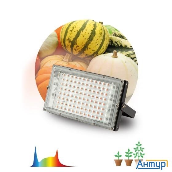 ЭРА Б0057284 Фитопрожектор для растений светодиодный Fito-80w-ra90-led-y полного спектра