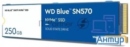 Твердотельный накопитель Ssd M.2 2280 250gb Wdc Blue Sn570 Wds250g3b0c