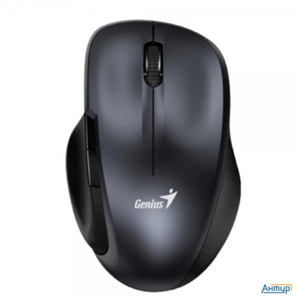 Мышь компьютерная Genius Ergo 8200s Iron Grey беспроводная (31030029401)
