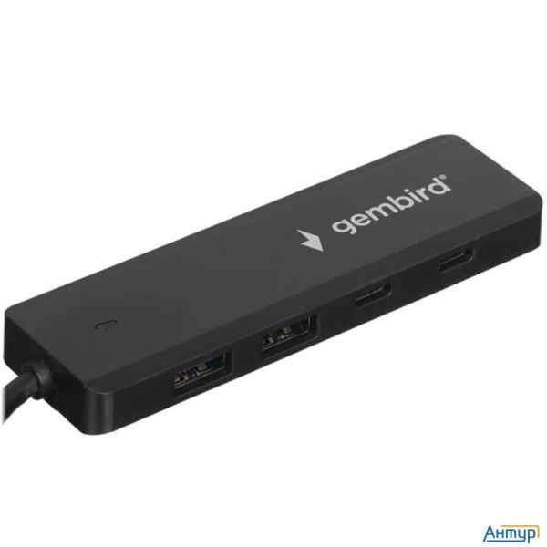 Gembird Разветвитель Usb3.1 2xusb, 2xtype-c, с доп.пит (type-c),кабель Type-c 19см, черный, коробка