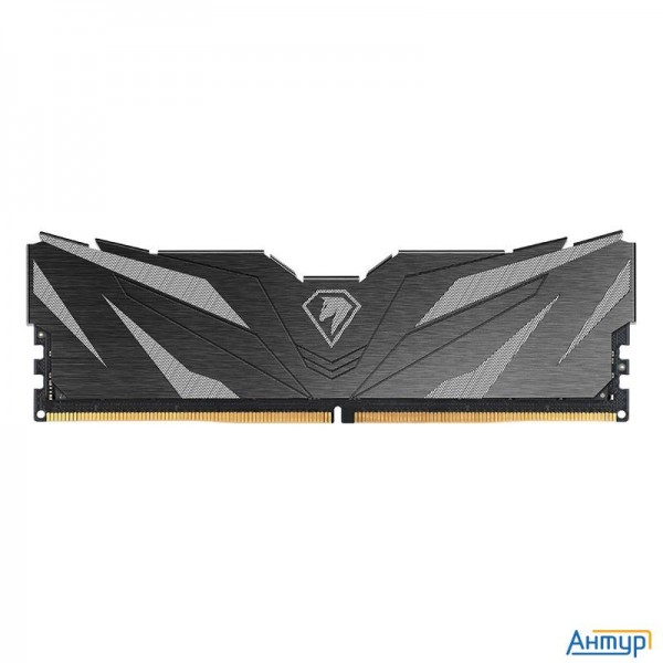 Netac Shadow Ii 8gb Ddr5-4800 (pc5-38400) C40 Black 40-40-40-77 1.1v Memory Module