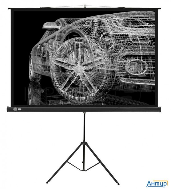 Экран Cactus 124.5x221см Triscreen Cs-pst-124x221 16:9 напольный рулонный черный
