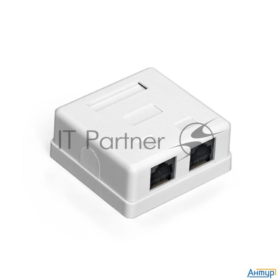 Exegate Ex292843rus Розетка внешняя двойная Exegate Sm2-rj45-c5 Rj-45 кат.5/5e Utp Krone/110