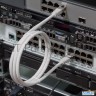 Rexant Пaтч-корд f/utp, категория 5e, rj45-rj45, экранированный, 24awg, lszh, серый, 1м