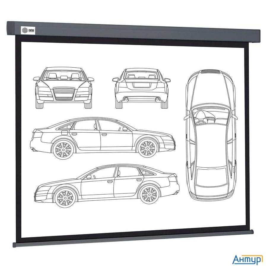 Экран Cactus Wallscreen Cs-psw-168x299-sg,  299х168 см, 16:9,  настенно-потолочный серый