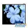 Экраны Lumien Master Picture Lmp-100102