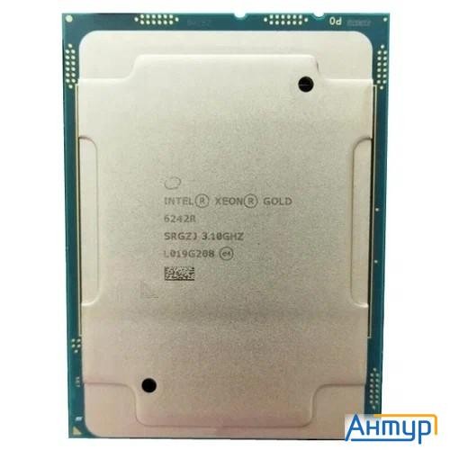 Cpu Intel Xeon Gold 6242r Oem