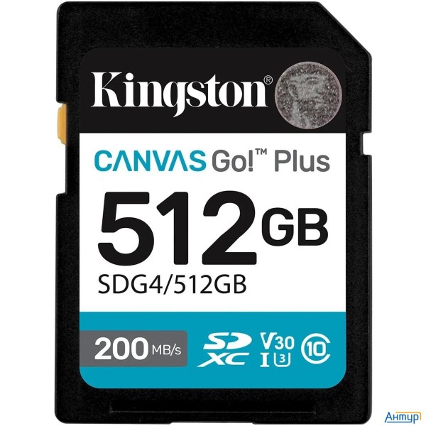 Micro Securedigital 512gb Kingston Sdg4/512gb
