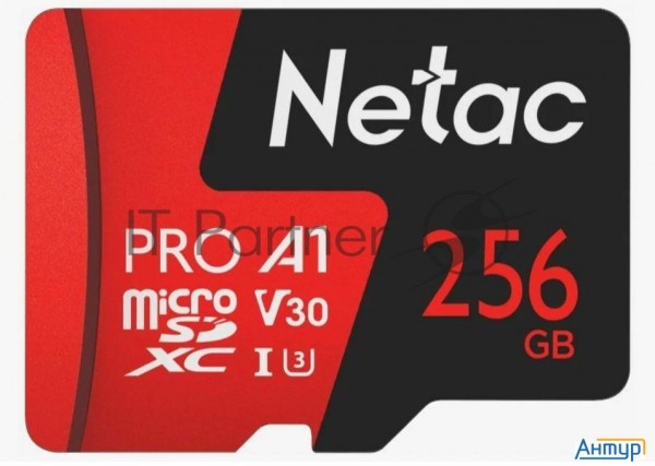 Флеш-накопитель Netac Карта памяти Netac Microsd P500 Extreme Pro 256gb, Retail Version Card Only