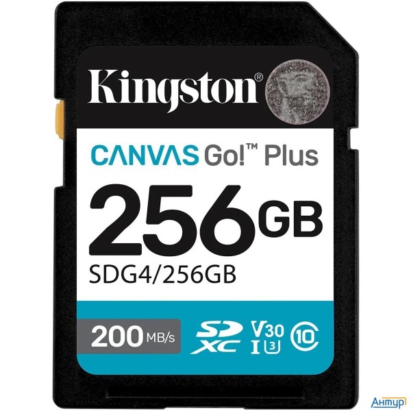 Флеш карта Sdxc 256gb Kingston Sdg4/256gb Canvas Go! Plus V30 W/o Adapter
