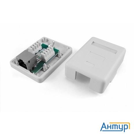 Hyperline Sb1-1-8p8c-c5e-sh-wh Розетка компьютерная Rj-45(8p8c), категория 5e, экранированная, одина