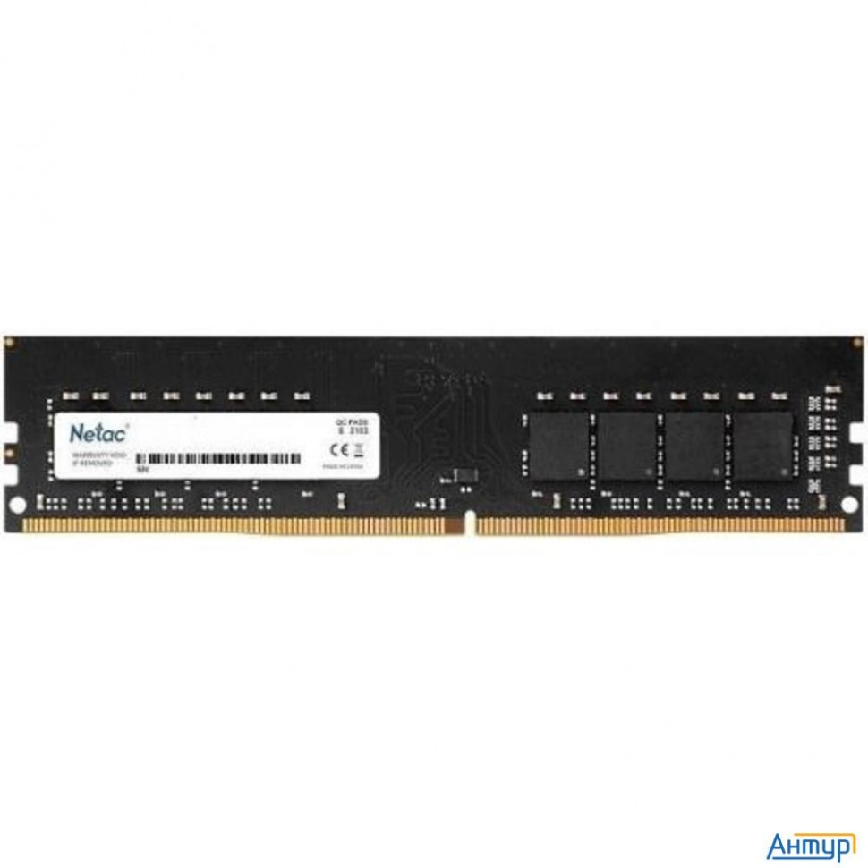 Память Dimm Ddr4 16gb Pc25600 3200mhz Cl22 Netac 1.2v Rtl (ntbsd4p32sp-16j)