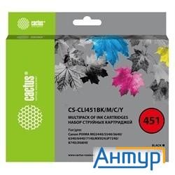 Картридж струйный Cactus Cs-cli451bk/m/c/y черный/голубой/желтый/пурпурный набор (40.8мл) для Canon