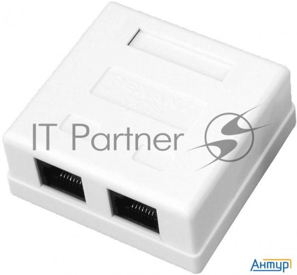 Розетка компьютерная 2-м ОП Rj45 Cat.5e бел. Rexant 03-0151