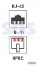 Розетка компьютерная 2-м ОП Rj45 Cat.5e бел. Rexant 03-0151