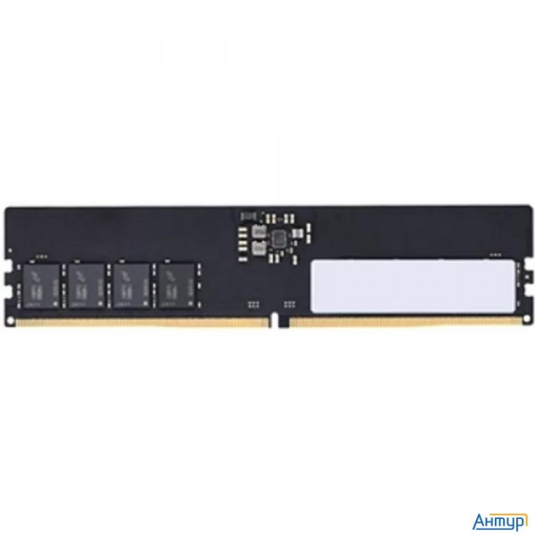 Foxline Dimm 8gb 5600 Ddr5 Cl 36 Fl5600d5u46-8g