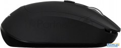 Мышь Acer Omr050 черный оптическая (1600dpi) беспроводная Bt/radio Usb (8but)
