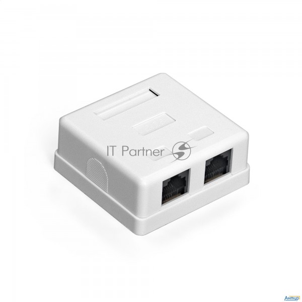 Розетка внешняя двойная Exegate Sm2-rj45-c6 Rj-45 кат.6 Utp Krone/110