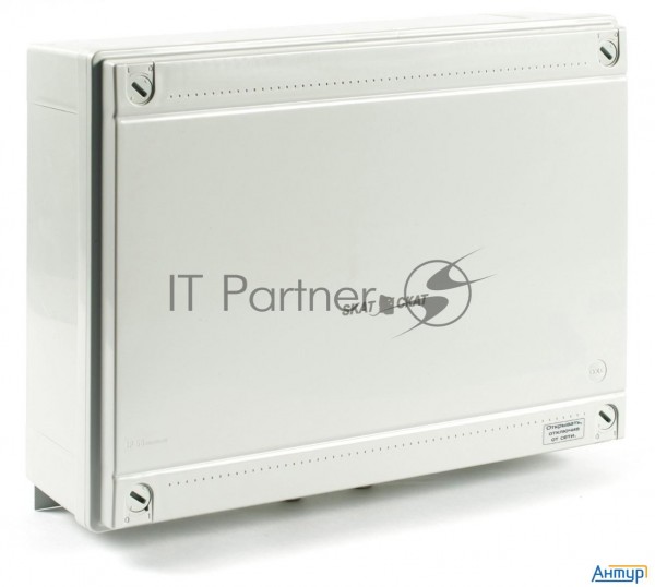 Источник бесперебойного питания Бастион СКАТ-2400 исп.5 (122), 24В, 4А, термостат 2х12Ач, защита АКБ