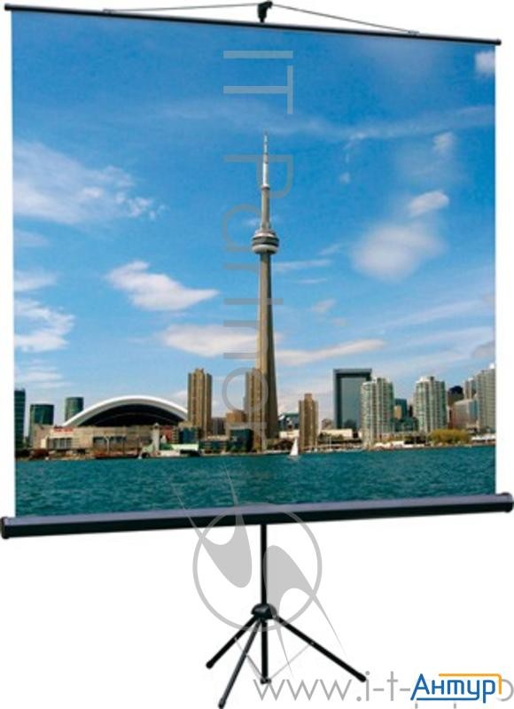 Экран на треноге Lumien 200x200см Eco View Lev-100103 1:1 напольный рулонный