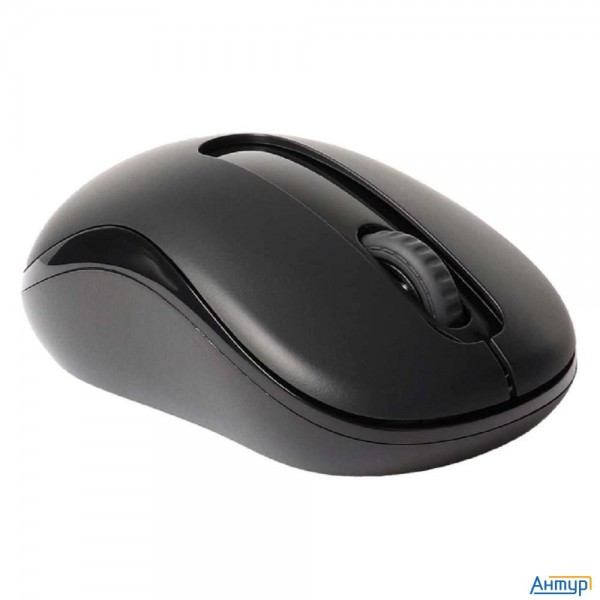 Мышь Rapoo M10 Plus черный