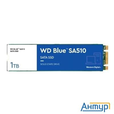 Ssd Wd Blue Sa510 Wds100t3b0b 1ТБ, M.2 2280, Sata3